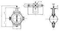 IMPA 754680 — Valve butterfly cast iron din, teflon lined #58 350mm