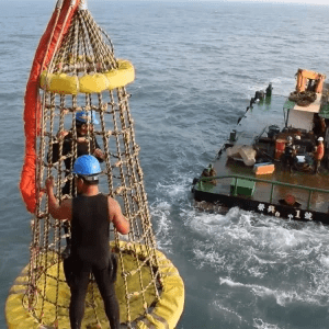 Offshore Transfer Basket HYL-4 ABS